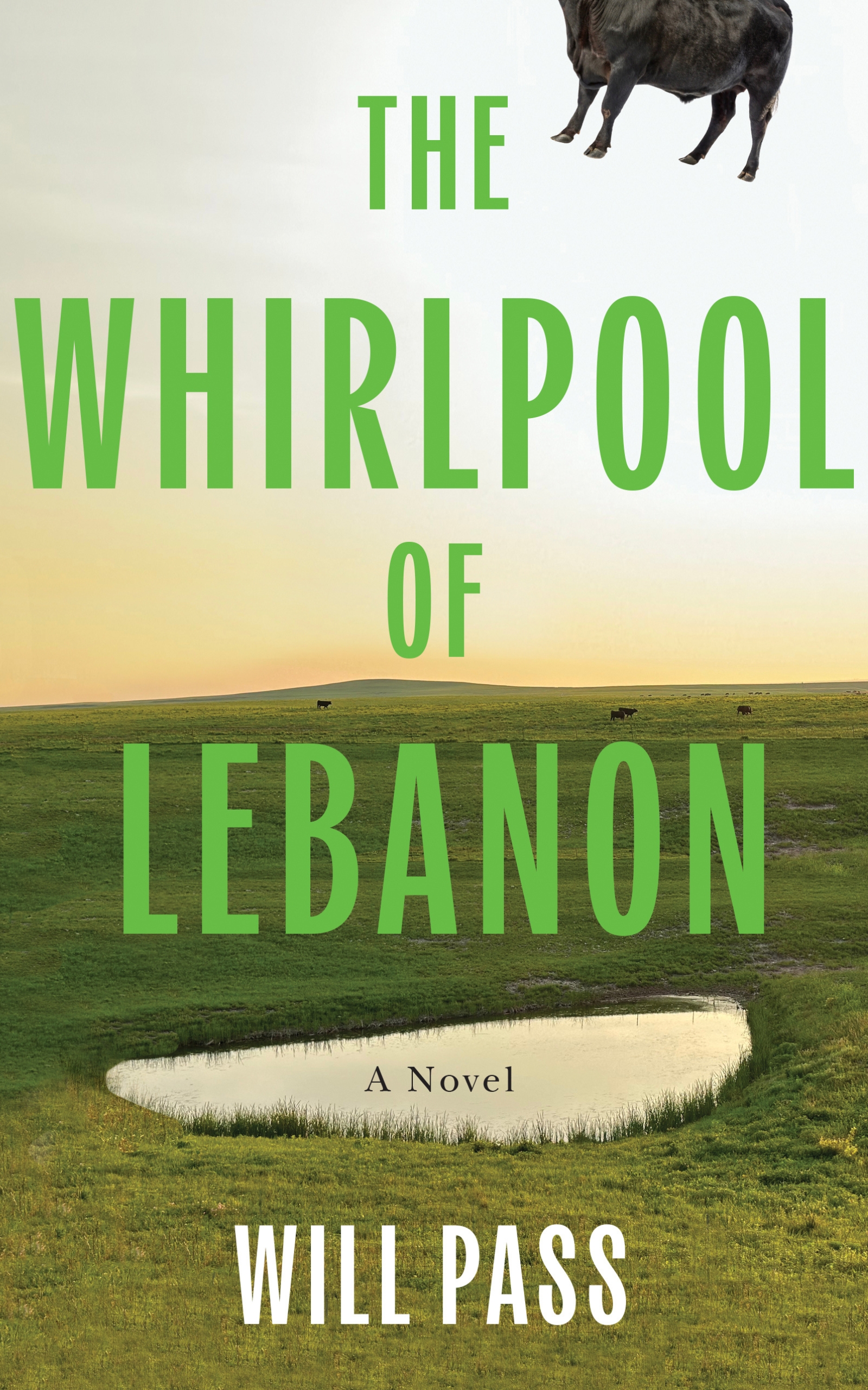 Cover of ‘The Whirlpool of Lebanon’